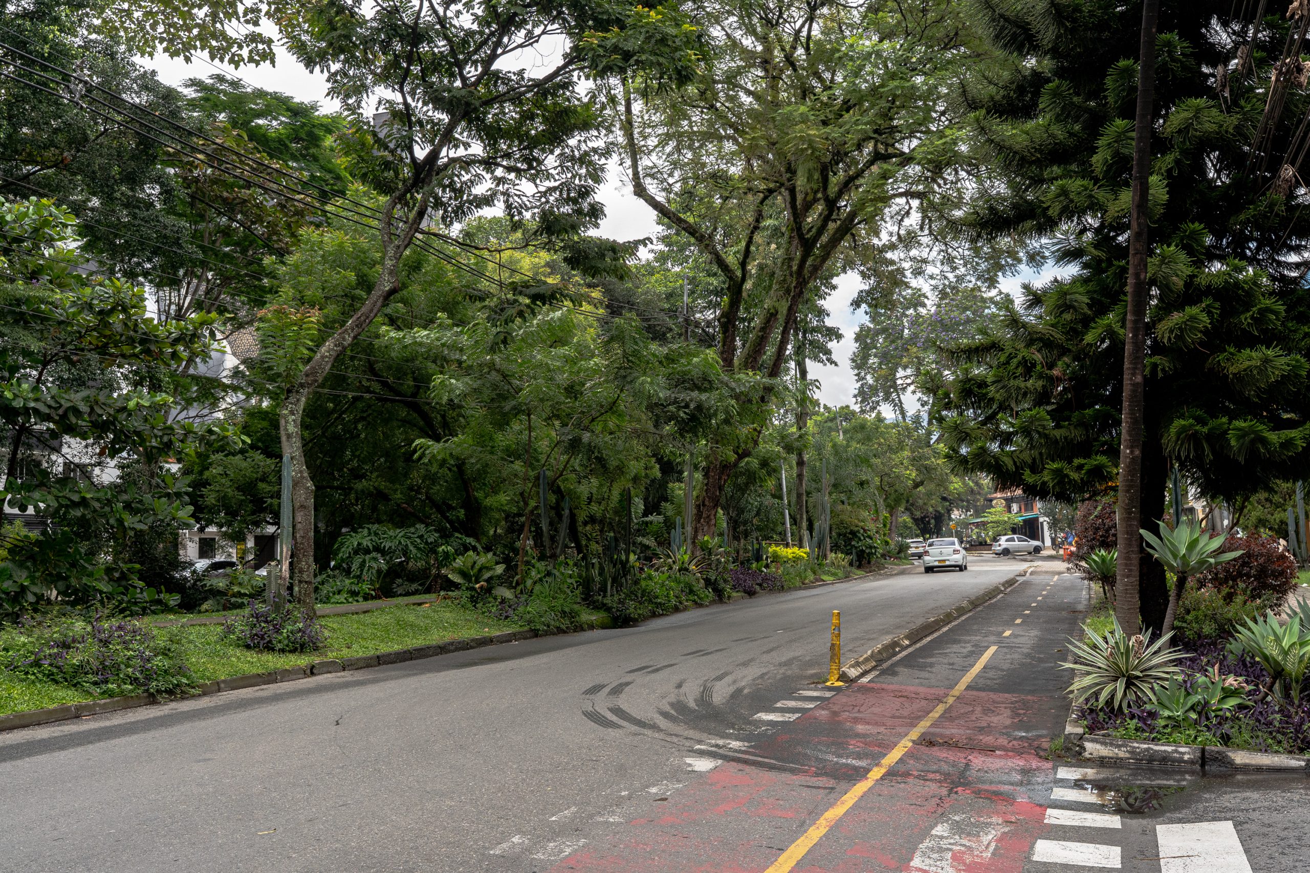 Sendero peatonal y ciclístico la Picacha
